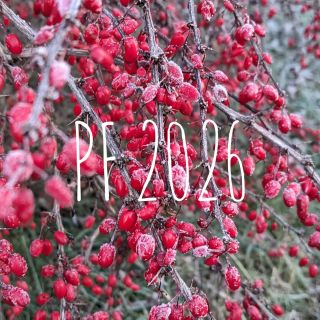 Nový rok. Nová energie. Děkujeme za vaši přízeň a zájem. Motivujete nás každý den. U.look